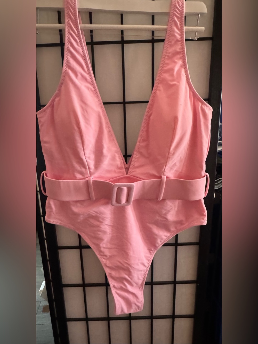 Plunging Pink One-Piece Swimsuit with Belt